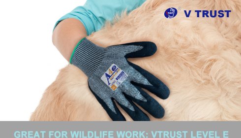 Great for Wildlife Work: Vtrust Level E Cut-Resistant Gloves