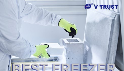 Best Freezer Gloves